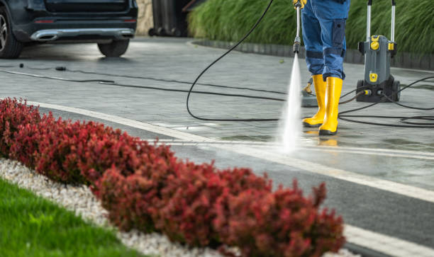Best Driveway Pressure Washing  in Bedford, IN